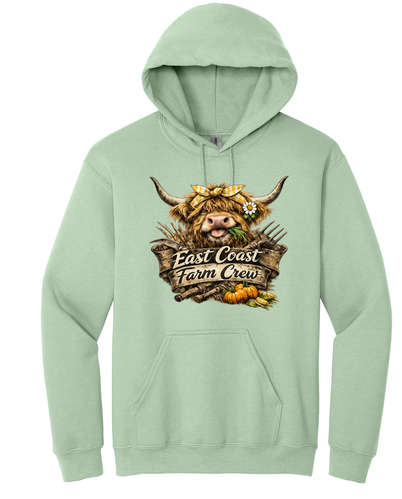 East Coast Farm Crew The Content Highland Cow Summer Grazing